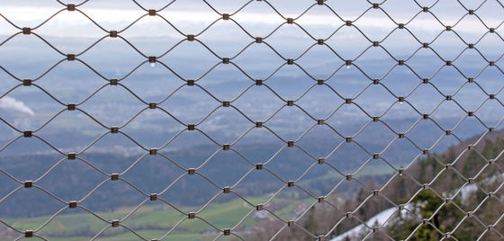 Προσαρμοσμένο κατά πτώση ατσάλινο σύρμα πλέγμα πλέγμα πλέγμα πρόληψη δίχτυ ασφαλείας για φώτα