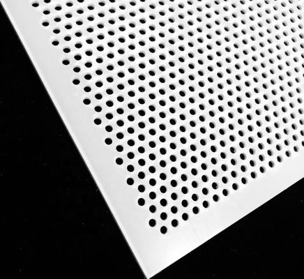 Λευκό διάτρητο πλέγμα PVC 0.3-10mm για τη βιομηχανία τροφίμων