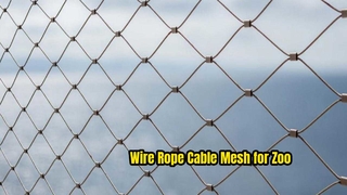 Η εφαρμογή του ανοξείδωτου πλέγματος πτηνών 316 zoo bird