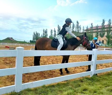 Φράχτης φάρμακο PVC 3 ράγες άλογο αγρόκτημα Paddock Εύκολη εγκατάσταση