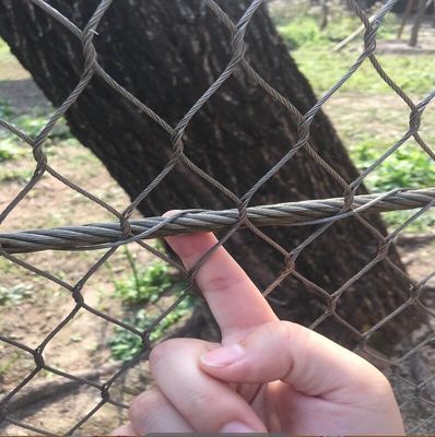 Προστατευτικό δίχτυ 304 316 Δαχτυλίδι από ανοξείδωτο χάλυβα Διακοσμητικό δίχτυ για χώρους κήπου