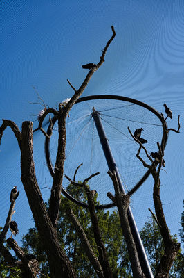 Διακοσμητικό Υφαντό Πλέγμα από Ανοξείδωτο Ατσάλι με Διάμετρο Σύρματος 1.5mm/2mm/2.5mm και Άνοιγμα Ματιών 25*25mm/30*30mm/50*50mm για Δικτυώματα Πτηνοτροφείων και Πλέγματα Ζωολογικών Κήπων