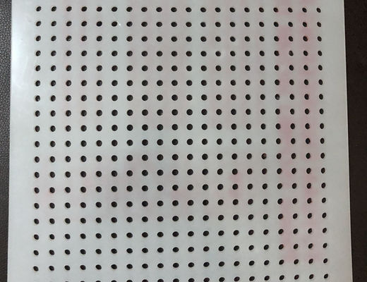 Λευκό διάτρητο πλέγμα PVC 0.3-10mm για τη βιομηχανία τροφίμων