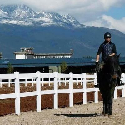 Άσπρες βινυλίου θέση και ράγα 8ft αγρόκτημα πλέγματος καλωδίων που περιφράζει το υπαίθριο PVC για το άλογο